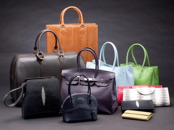 Influence of Handbags on Attire Adorned by a Woman